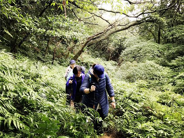 IMG_3940.jpg IMG_3940.jpg