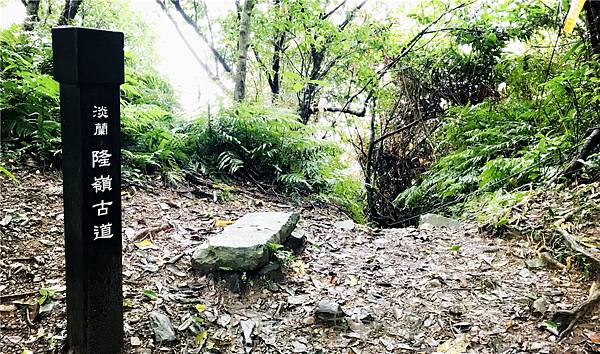 IMG_3950.jpg IMG_3950.jpg