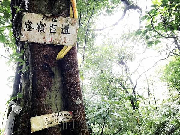 IMG_3949.jpg IMG_3949.jpg