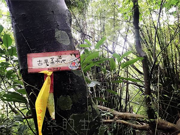 IMG_3980.jpg IMG_3980.jpg