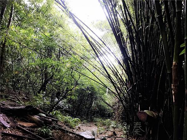 IMG_3974.jpg IMG_3974.jpg