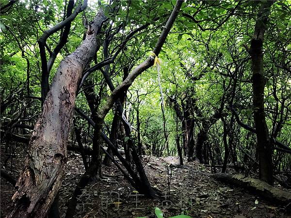 IMG_3996.jpg IMG_3996.jpg