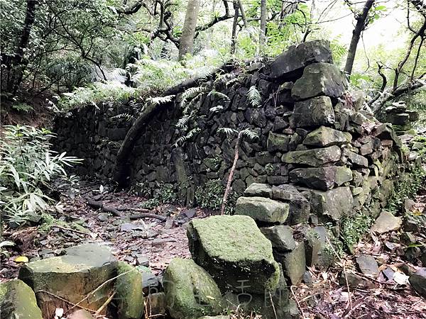 IMG_4013.jpg IMG_4013.jpg