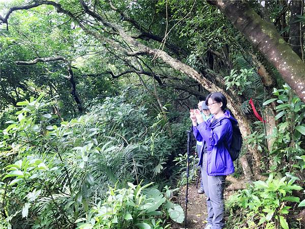 IMG_4017.jpg IMG_4017.jpg