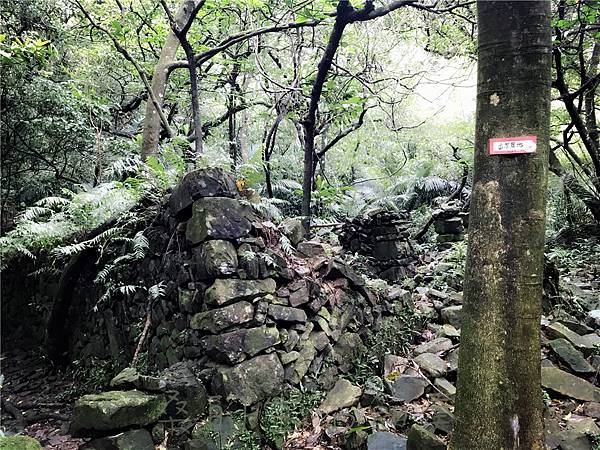 IMG_4012.jpg IMG_4012.jpg