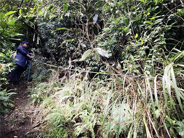 IMG_4020.jpg IMG_4020.jpg