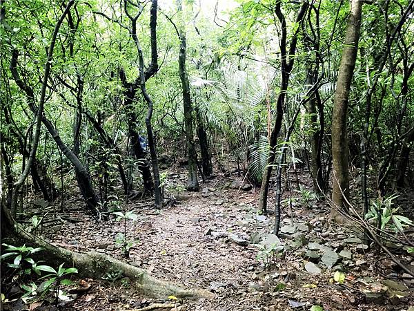 IMG_3990.jpg IMG_3990.jpg