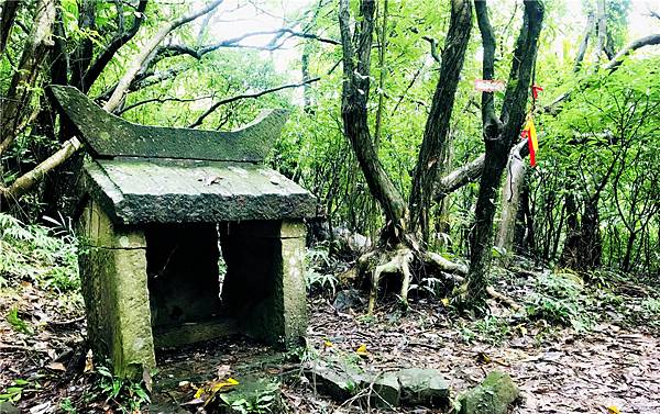 IMG_3981.jpg IMG_3981.jpg