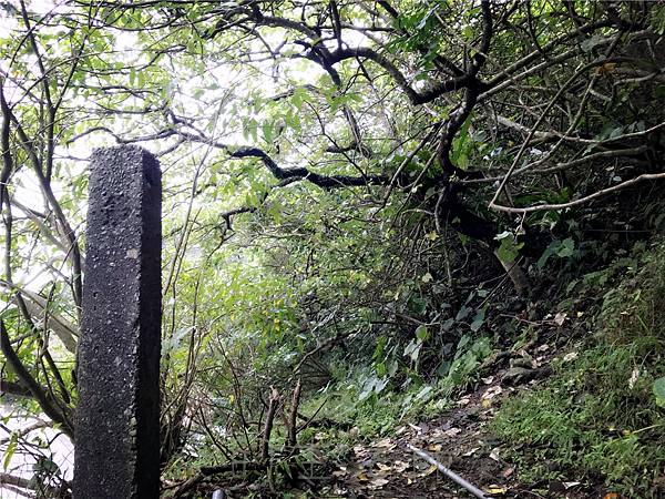 IMG_4026.jpg IMG_4026.jpg