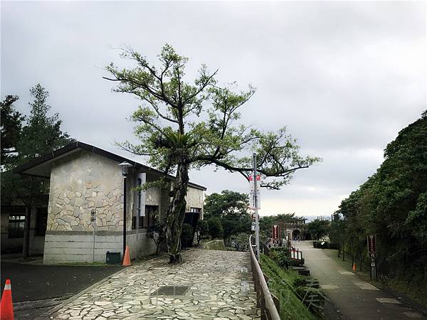 IMG_4033.jpg IMG_4033.jpg