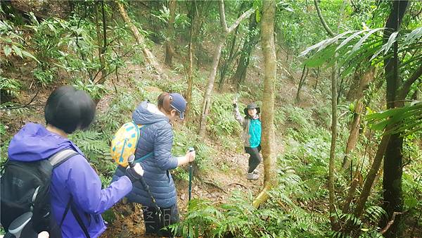 IMG_4069.jpg IMG_4069.jpg