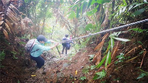 IMG_4085.jpg IMG_4085.jpg