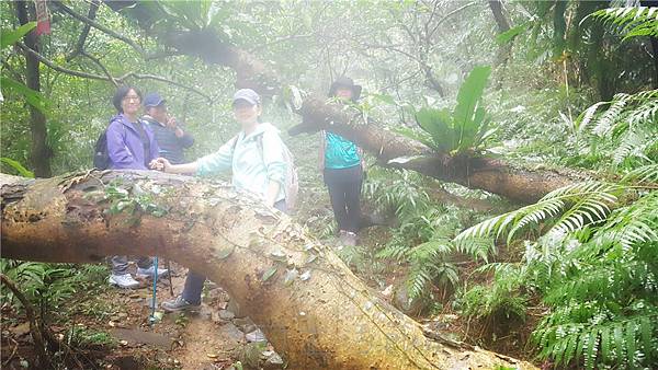 IMG_4088.jpg IMG_4088.jpg