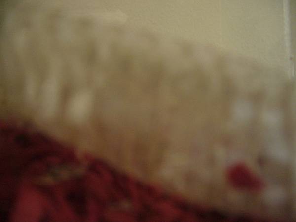 P1270418 P1270418