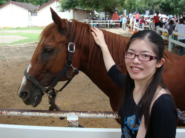 來到后里馬場怎能沒看一下馬兒呢~