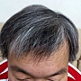 2011-0626-今天用手機拍的頭髮照