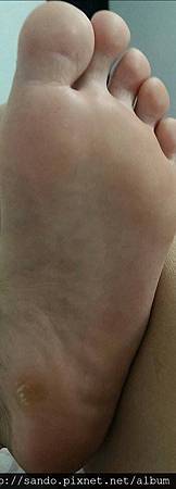 10361591_312442932272212_3367283670397999113_n