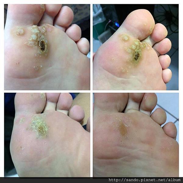 10445582_275890185927487_3711567700360704572_n (1).jpg