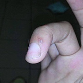 12188434_896285417107771_648106779_n.jpg 12188434_896285417107771_648106779_n.jpg