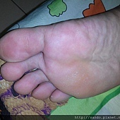 12197184_896285207107792_1085126070_o.jpg 12197184_896285207107792_1085126070_o.jpg