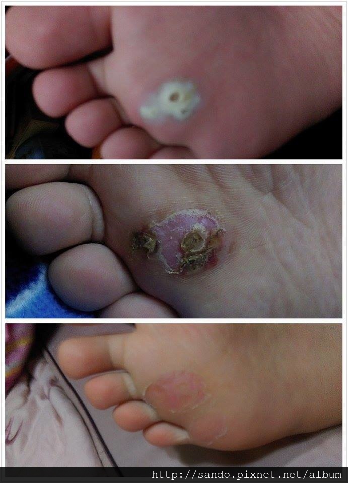 12721727_1161981337154448_951968333_n.jpg 12721727_1161981337154448_951968333_n.jpg