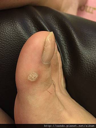 13900648_1293104967381386_1780861948_n.jpg 13900648_1293104967381386_1780861948_n.jpg