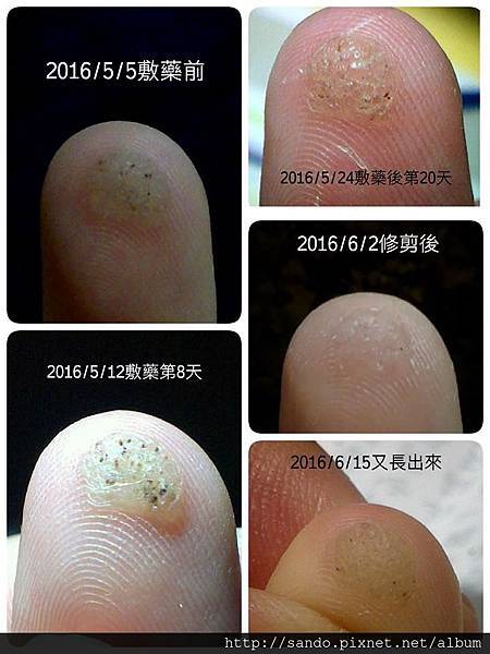 20182698_10207479524266723_1493878097_n.jpg 20182698_10207479524266723_1493878097_n.jpg