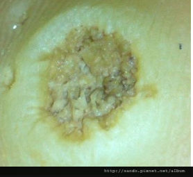 1174752_172574406259066_1200774595_n.png 1174752_172574406259066_1200774595_n.png