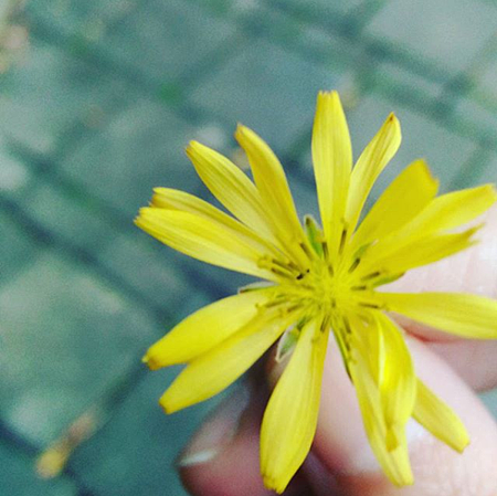 30715180_157557971606685_5648524693146173440_n.png 30715180_157557971606685_5648524693146173440_n.png