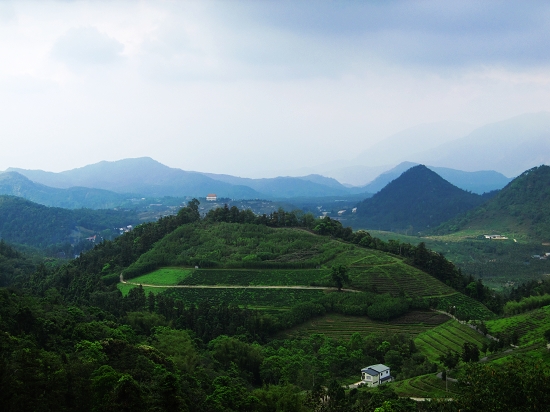 清晨來貓囒山步道應該空氣很好