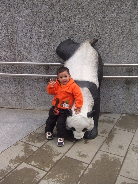 熊貓與兒子