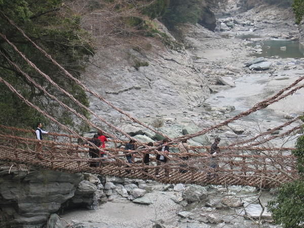 遠照葛藤橋