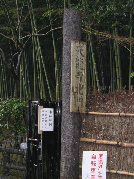 參觀天龍寺