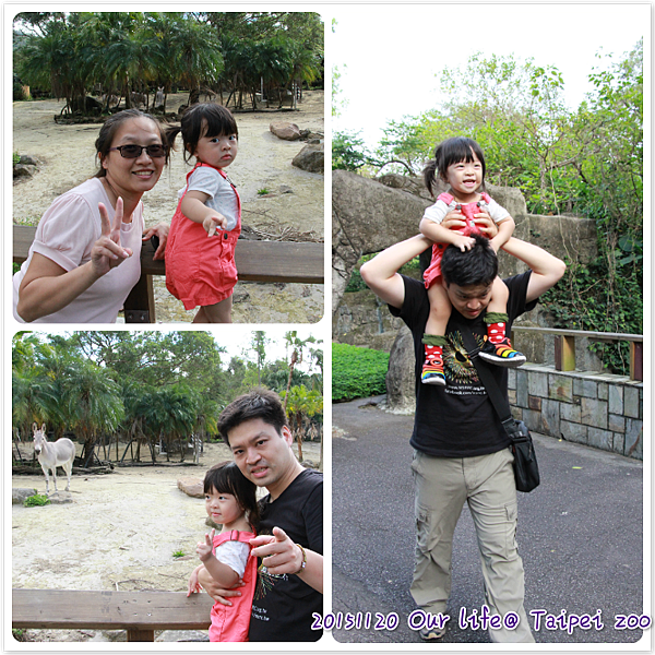 1120Taipei zoo.png