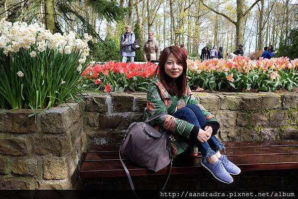 鬱金香花園 鬱金香花園