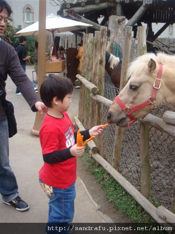 DSC05246.JPG