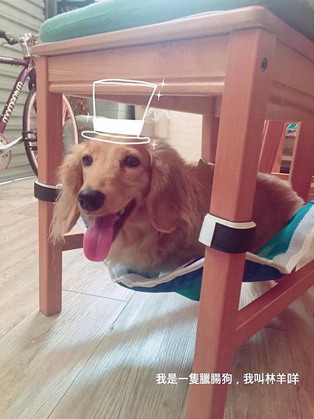 14670728_10154213648372968_906948396538550846_n.jpg 14670728_10154213648372968_906948396538550846_n.jpg