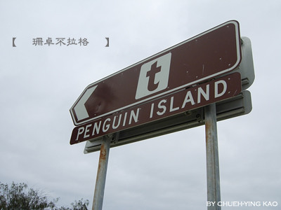 2009042504Penguin Island