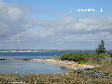 2009042526Penguin Island