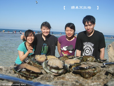 20091115abalone04