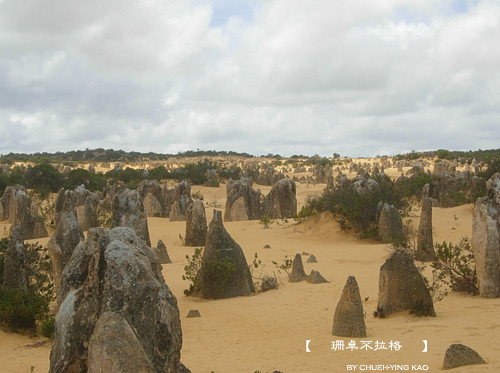 20091107pinnacles11