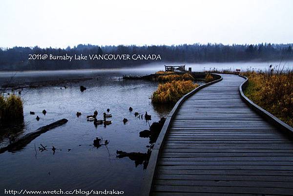 Burnaby lake