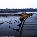 Burnaby lake