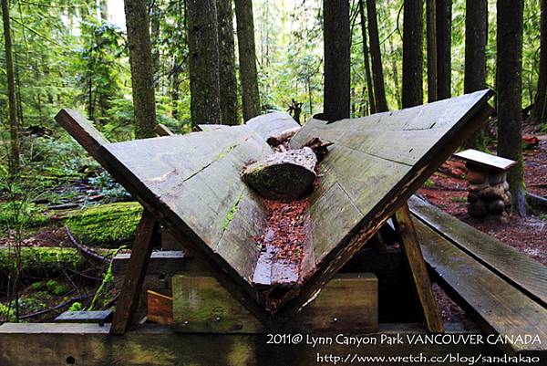 Lynn Canyon Park