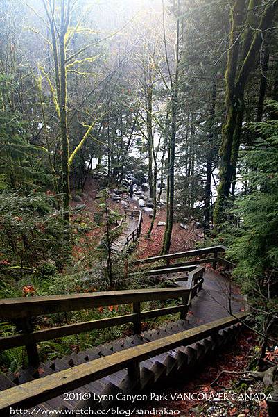 Lynn Canyon Park- 30 foot poo...