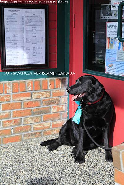 vancouver island- 壁畫小鎮Chemainus