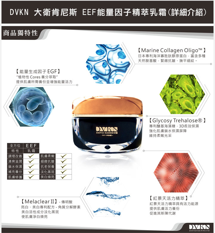 EDM02.jpg 試用