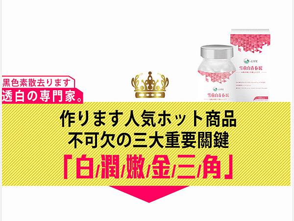 EDM09.jpg 試用