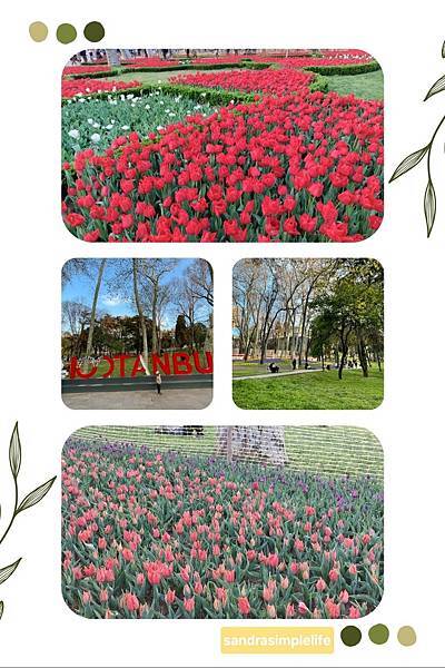 土耳其旅行最終章 伊斯坦堡散策・鬱金香花季・塔克辛夜遊・