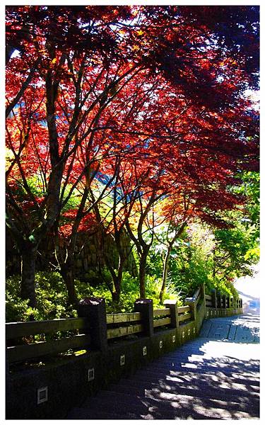 201108宜蘭太平山11.jpg 201108宜蘭太平山11.jpg